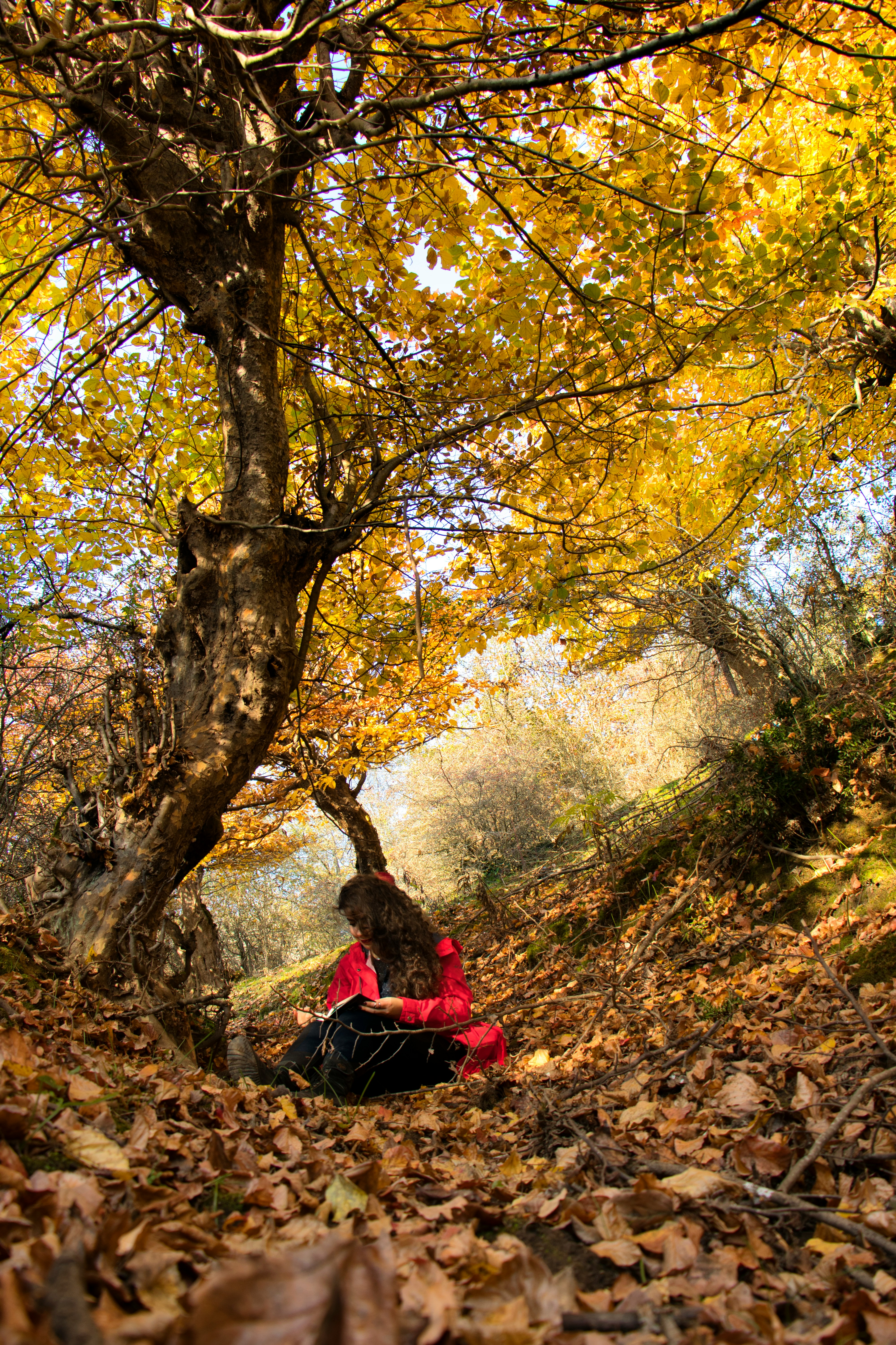 千人千色t9t9t90网页版推荐内容封面图3